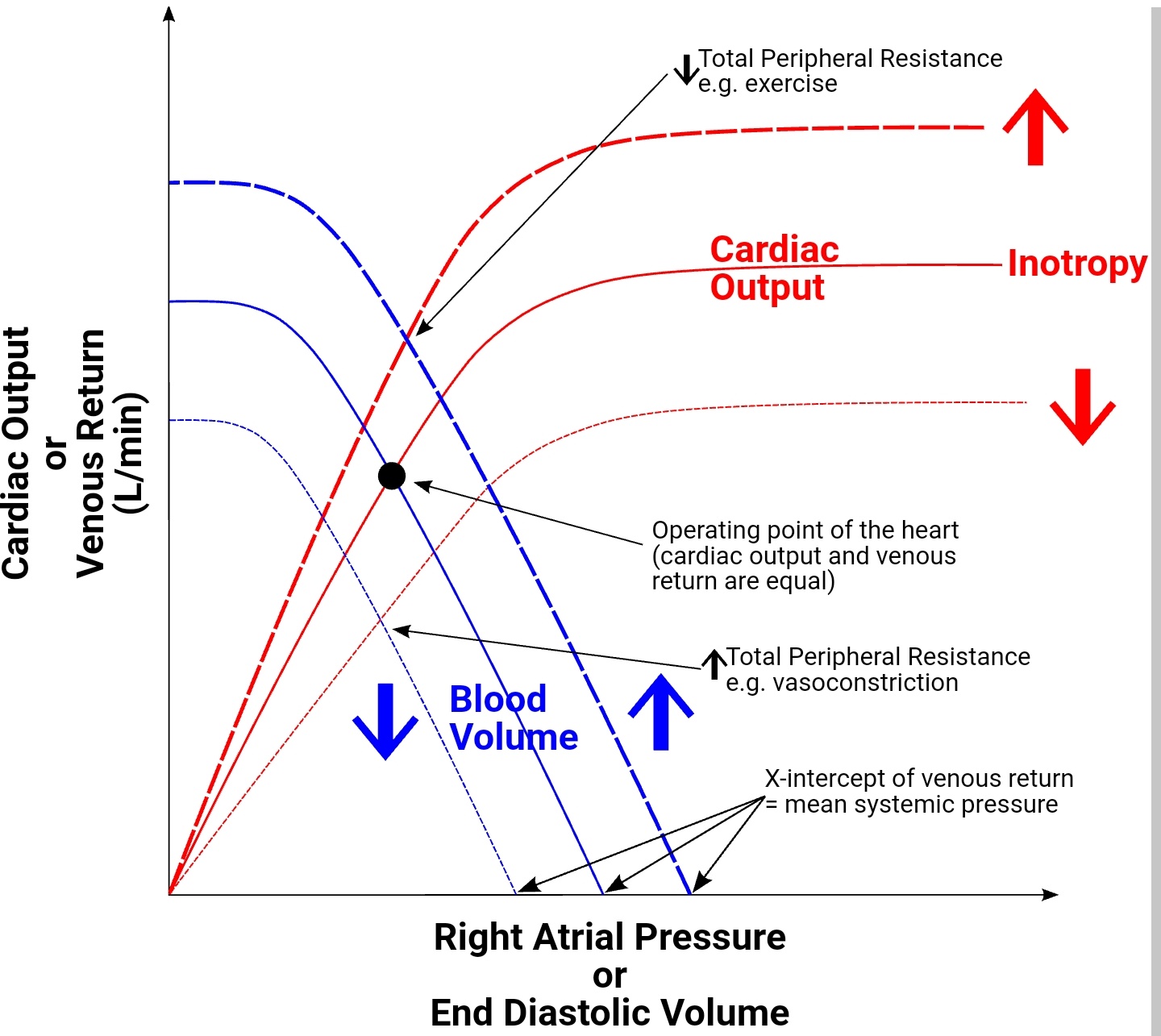 Diagram of showing the physiological relationship between the Frank–Starling Law of the heart and venous return pressure and volume