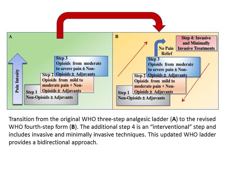 The revised WHO analgesic ladder