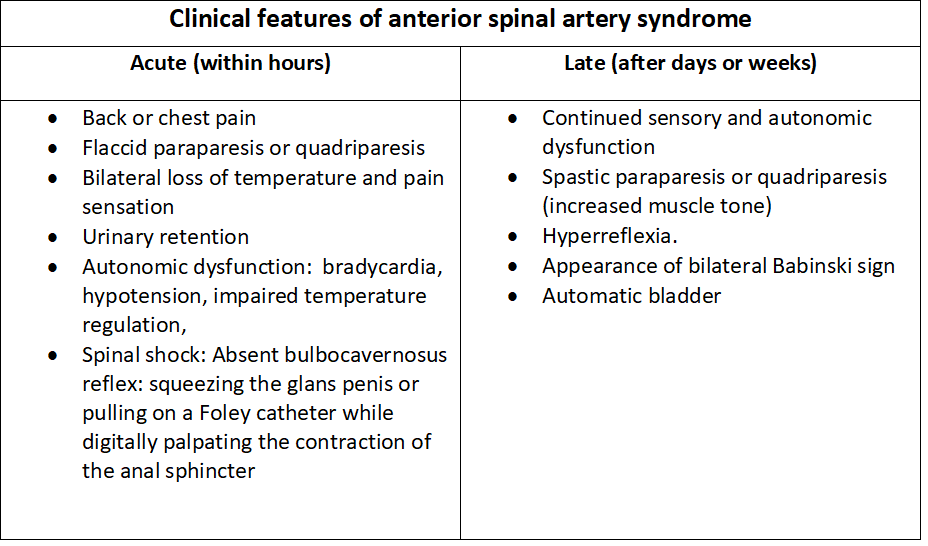 <p>Anterior Spinal Artery Syndrome Clinical Features</p>
