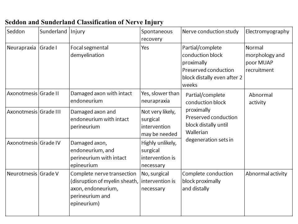 <p>Seddon and Sunderland Classification of Nerve Injury</p>