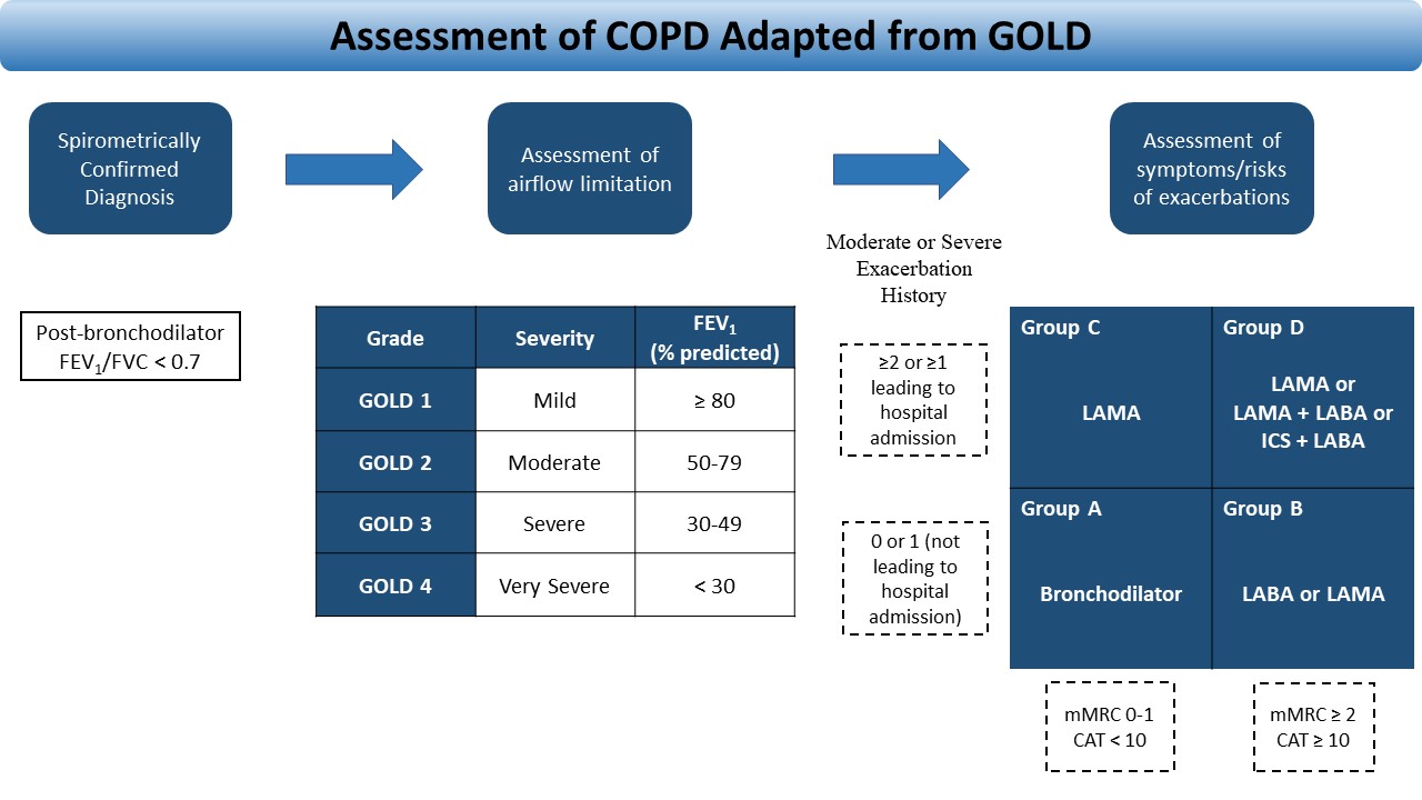 Figure 1. COPD assessment adapted from GOLD 2020 report.