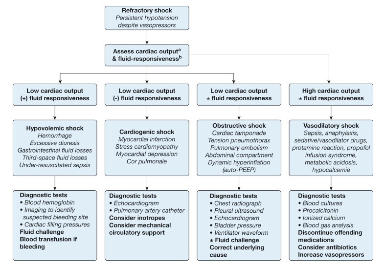 Suggested diagnostic approach for identifying reversible contributors to refractory shock, based on assessment of cardiac output and fluid responsiveness