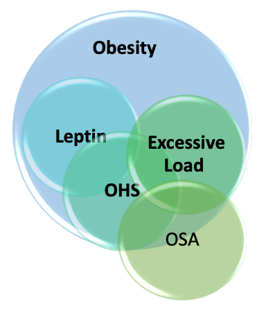 Illustration of responsible causes for obesity hypoventilation syndrome (OHS) and relationship between these major factors