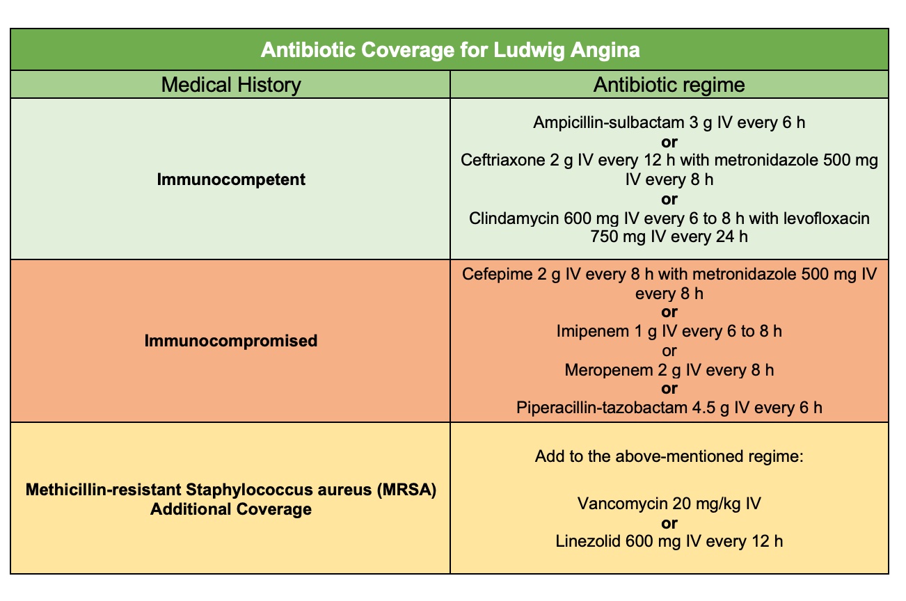 Antibiotic coverage for Ludwig angina.