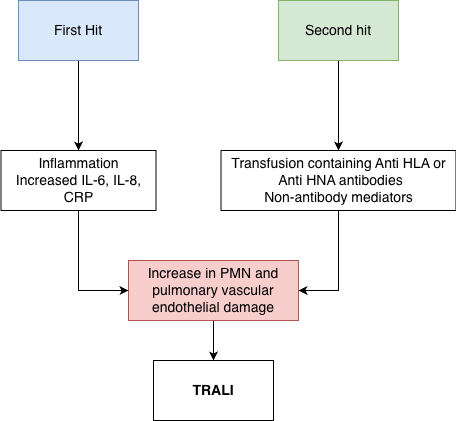 Pathophysiology of TRALI