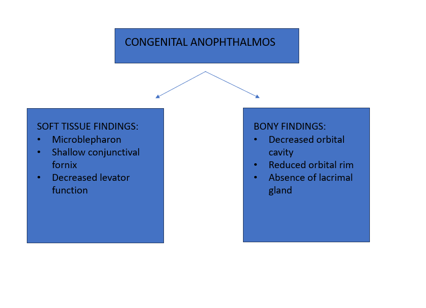 <p>Summary of Congenital Anophthalmia