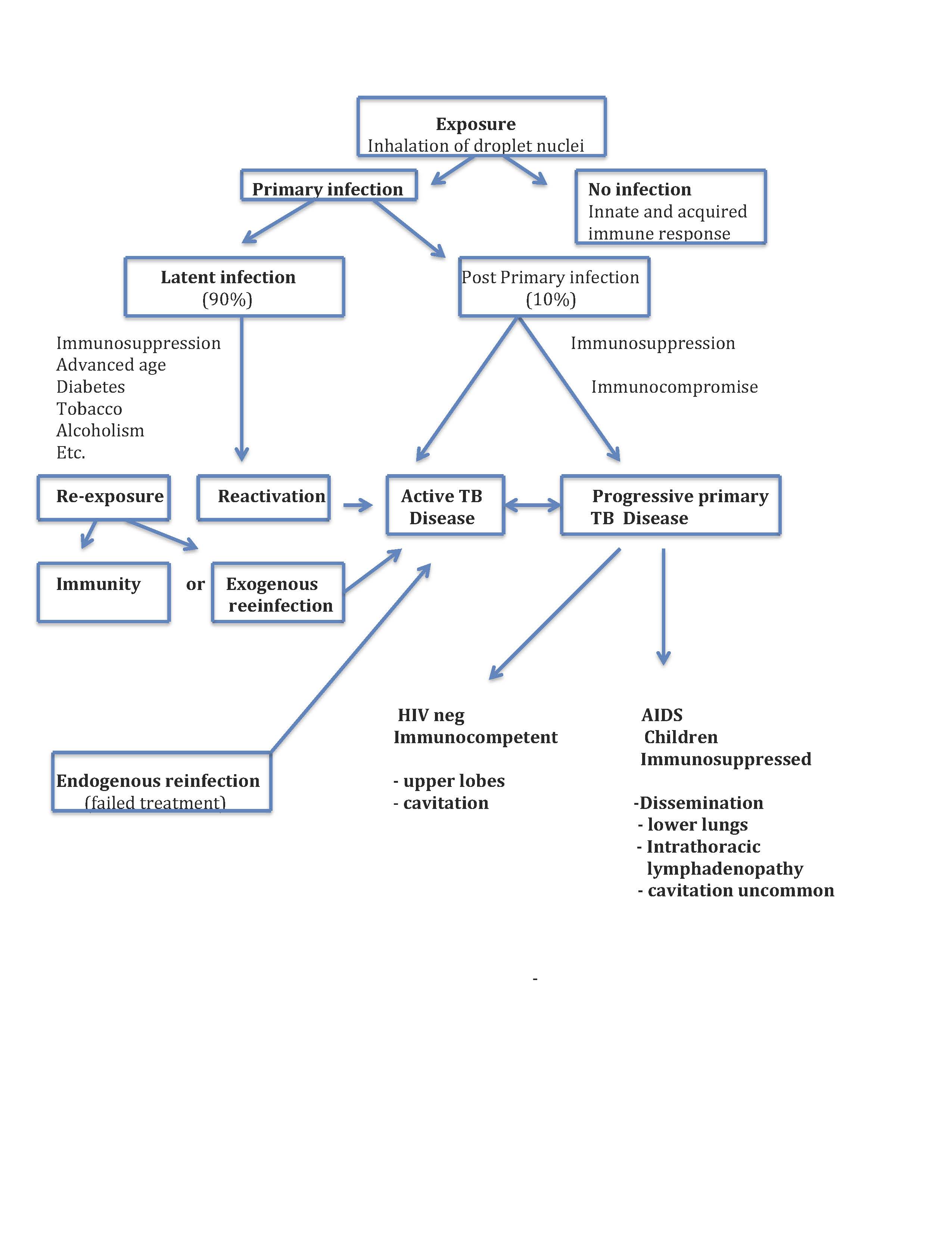 Tuberculosis Pathophysiology Flow Chart