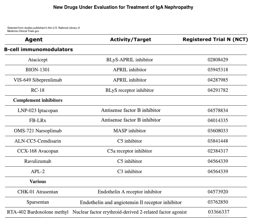 <p>New Drugs Under Evaluation for Treatment of IgA Nephropathy