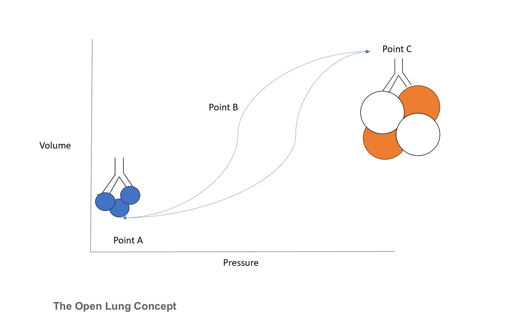 <p>The Open Lung Concept</p>