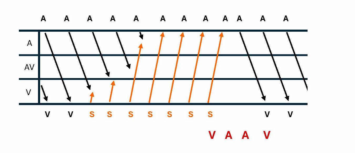 <p>Ladder Diagram of a VAAV Response