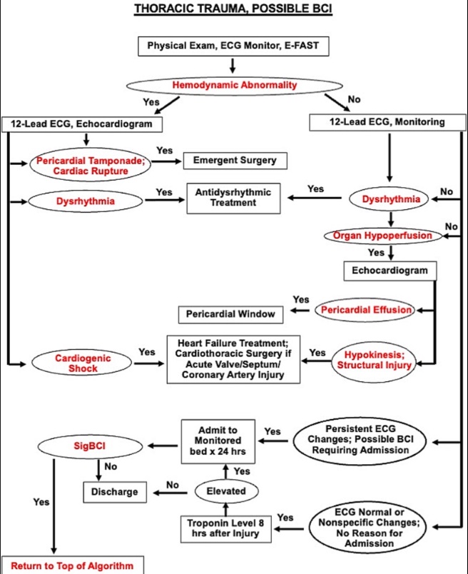 <p>Blunt Cardiac Injury Algorithm. This algorithm is the recommended protocol for blunt cardiac injury evaluation.</p>