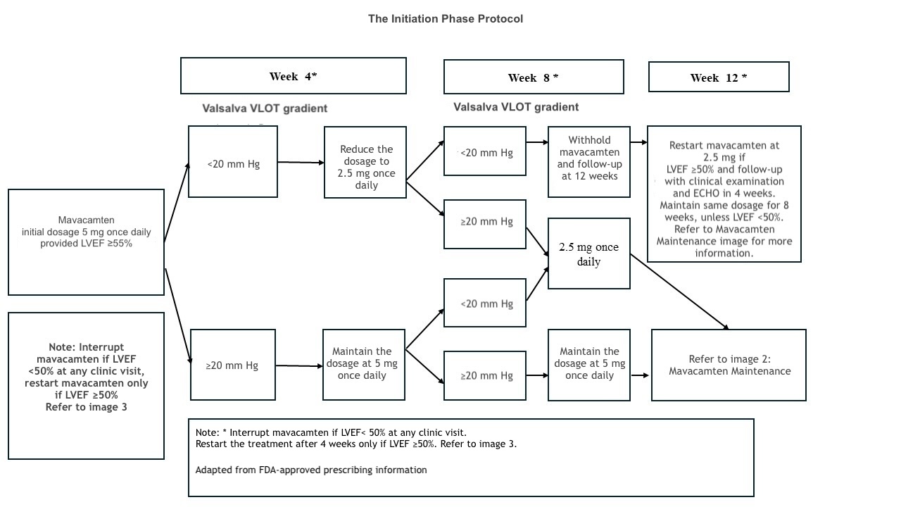 <p>Mavacamten Initiation<br /><br /></p>
