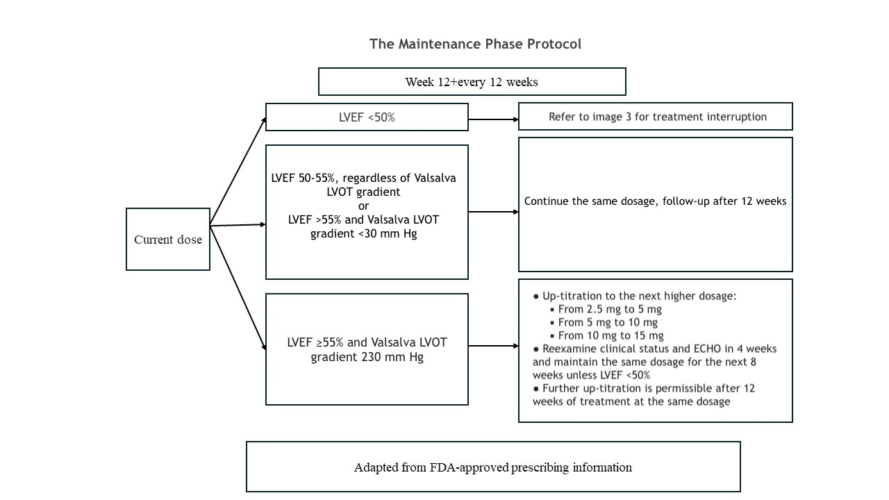 <p>Mavacamten Maintenance</p>