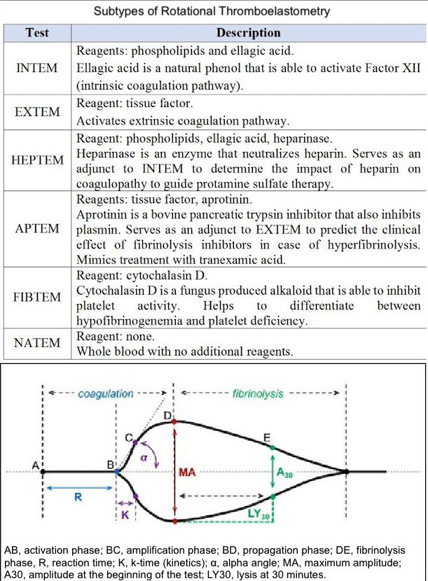 Subtypes of Rotational Thromboelastometry.