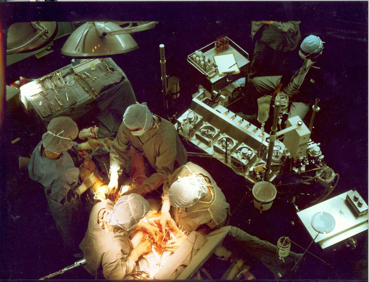 Early in a coronary artery bypass operation, during vein harvesting from the legs (left of image) and the establishment of cardiopulmonary bypass by placement of an aortic cannula (bottom of image)