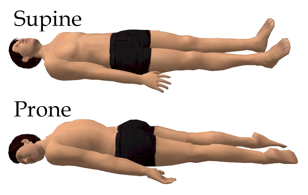 <p>Supine and Prone Positions</p>