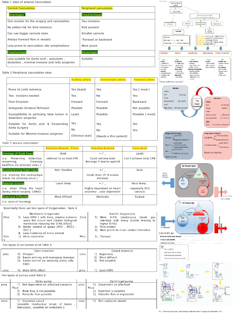 <p>Cardiopulmonary Bypass Figures and Tables