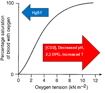 <p>Oxygen Dissociation Curve</p>