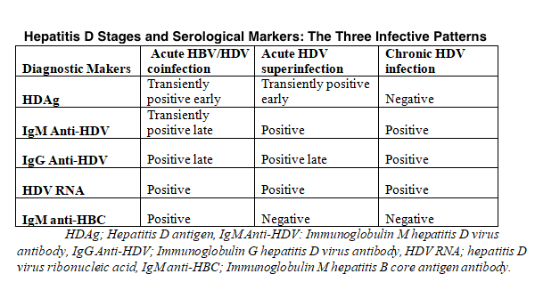 <p>Hepatitis D Stages, Serological Markers, and the Three Infective Patterns