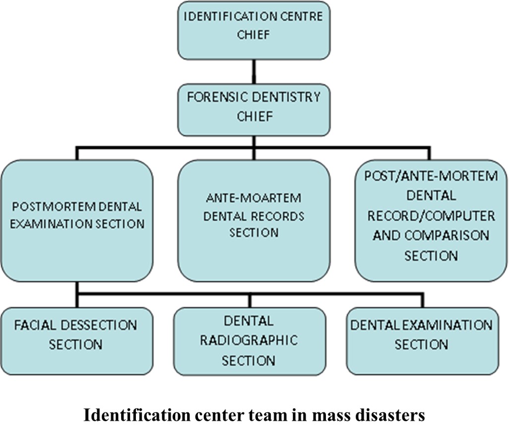 Identification center team in mass disasters