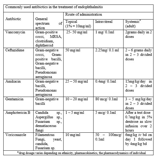 Endophthalmitis Article