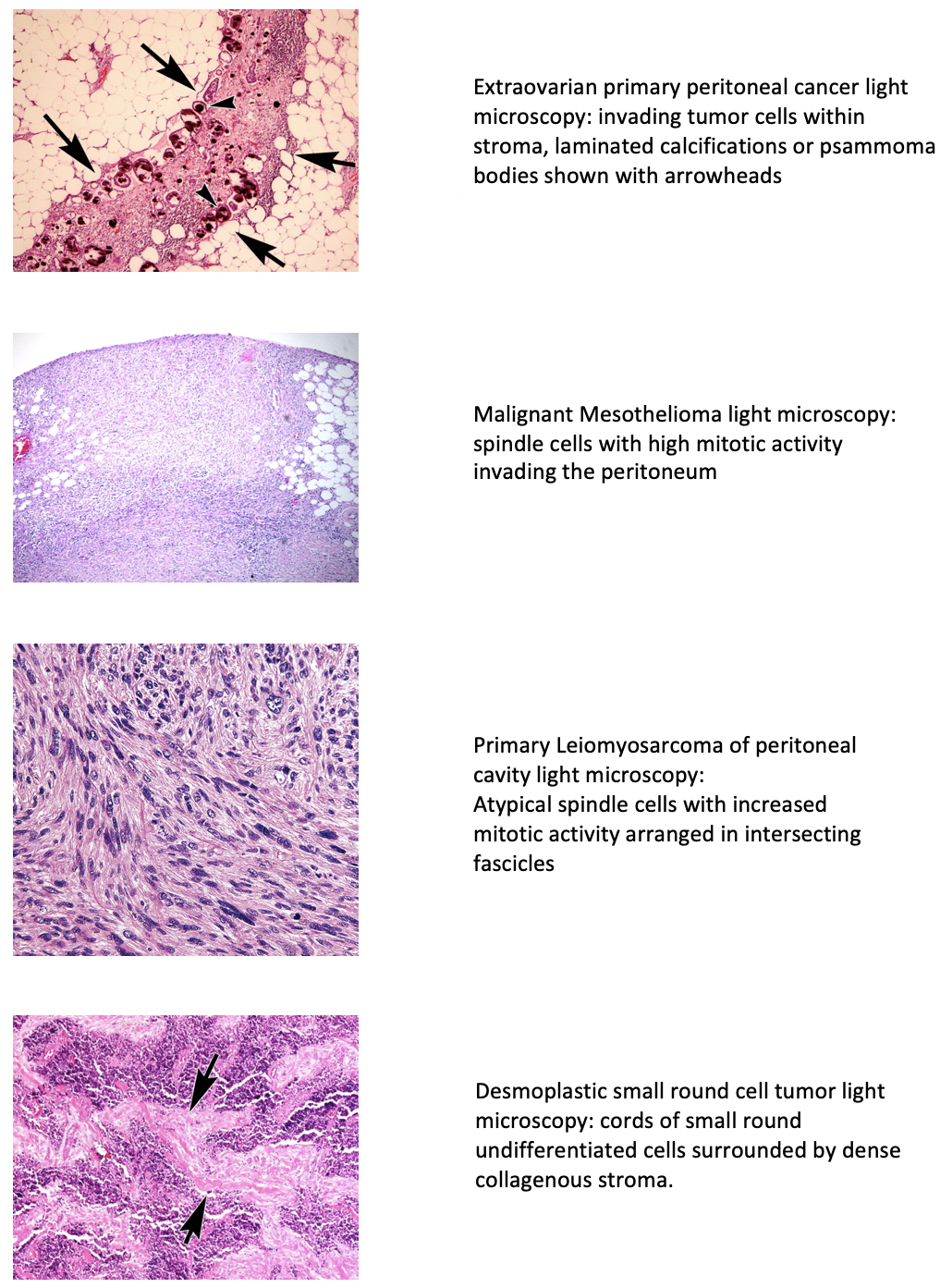 how-long-do-skin-biopsy-results-take-to-come-back