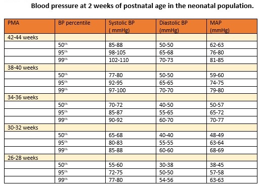 Neonatal Hypertension Article