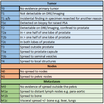 Prostate Tumor Staging Chart