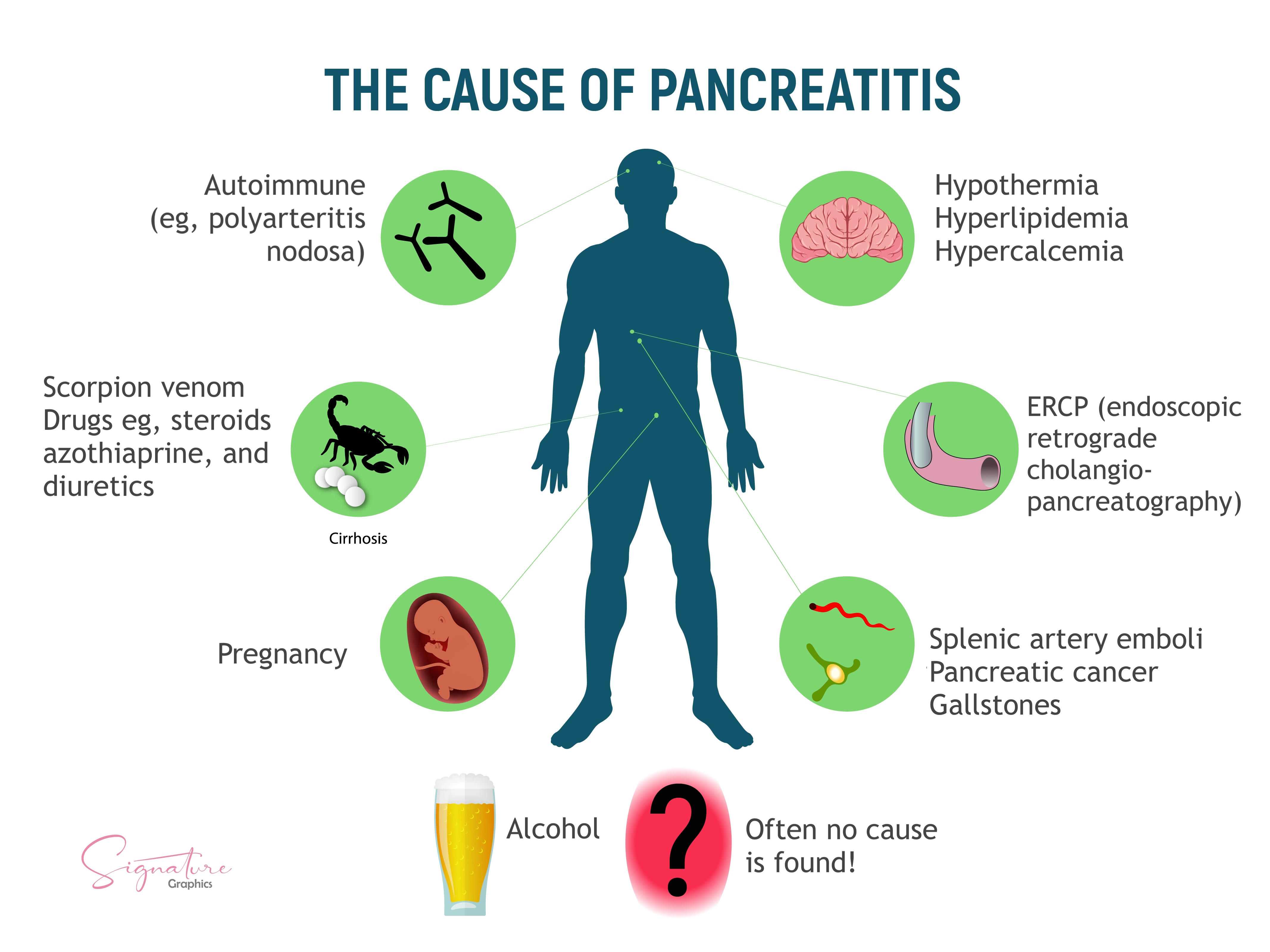 Pancreatitis Acute And Chronic Symptoms Causes And My Xxx Hot Girl