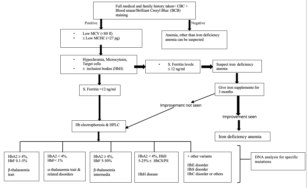 Laboratory Evaluation Of Alpha Thalassemia Article