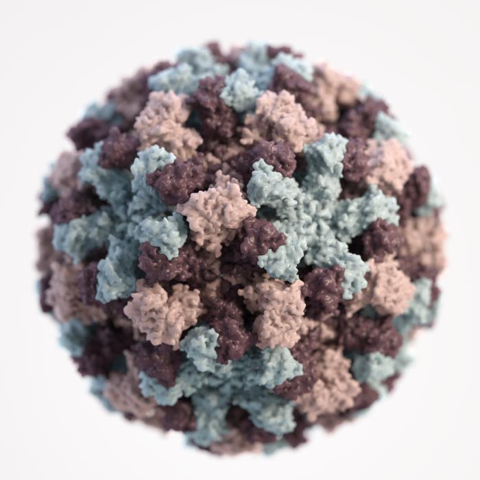 Norovirus Article