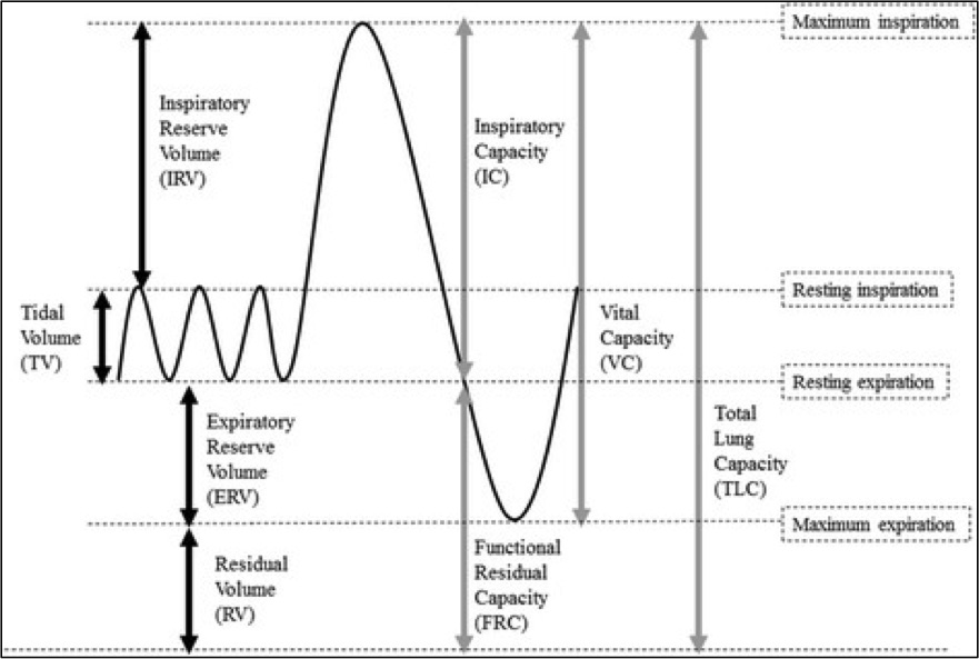 Vital Capacity Article - StatPearls