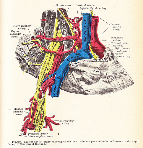 Subclavian Artery Trauma | Treatment & Management | Point of Care